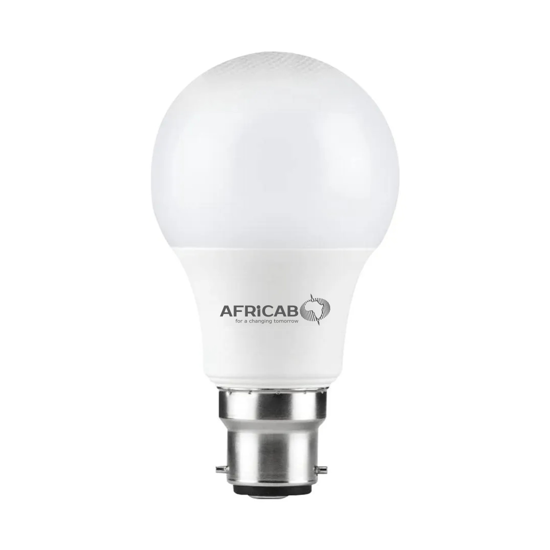 Bulb LED A65 10W 6500k white B22